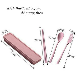 Combo bộ đũa thìa lúa mạch tiện dụng