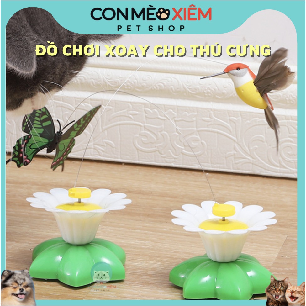 Đồ chơi cho mèo xoay bướm bướm chim lông vũ, đuổi bắt gặm nhai tự động Con Mèo Xiêm