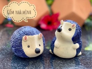 Nhím men nằm - đứng