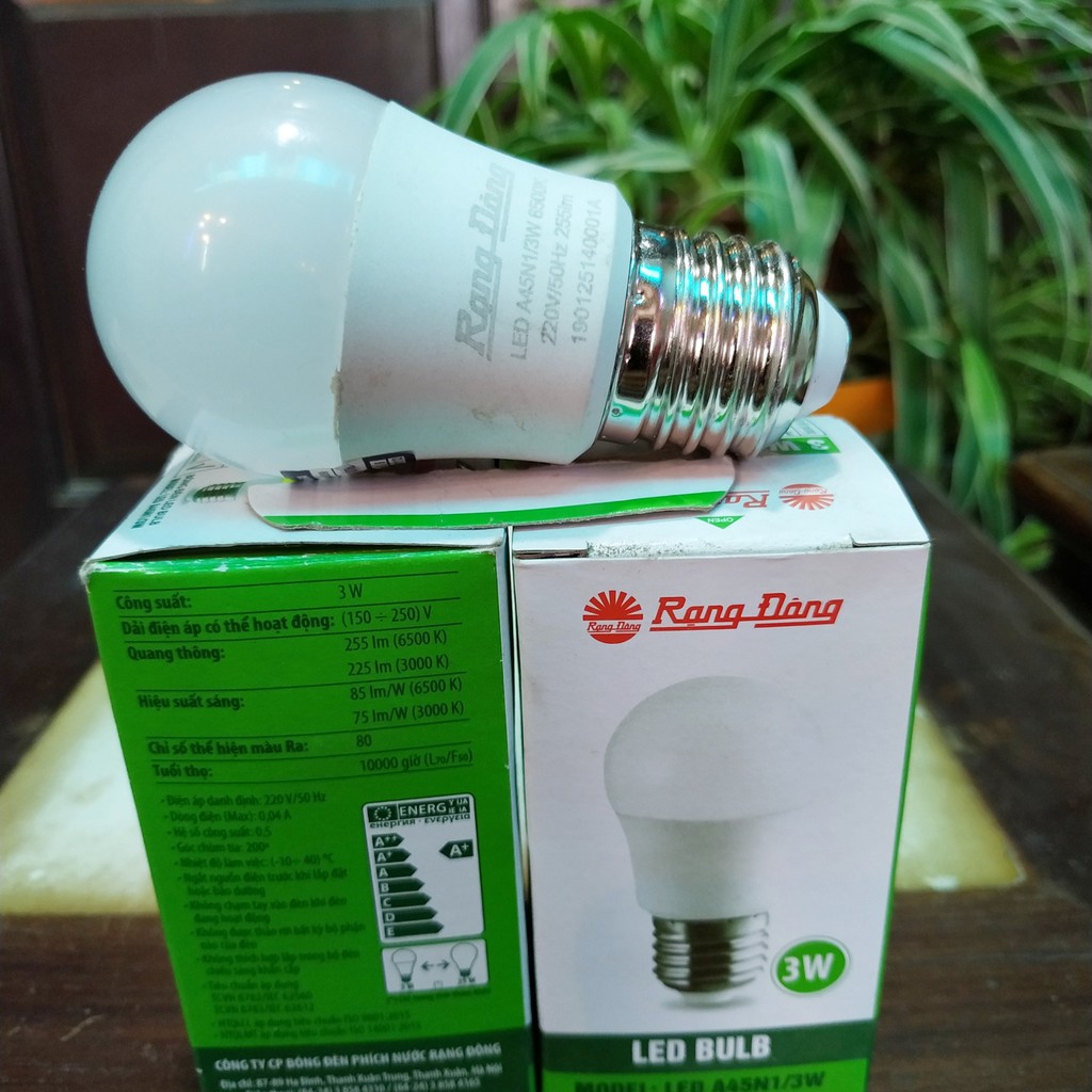 Bóng LED BULB tròn RẠNG ĐÔNG 3W 5W 9W 12W 20W 30W tiết kiệm điện