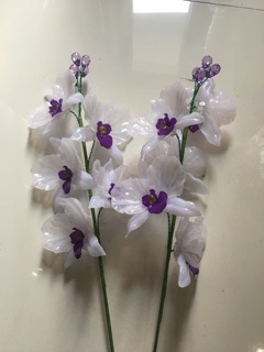 Combo 2 Cành hoa lan hồ điệp