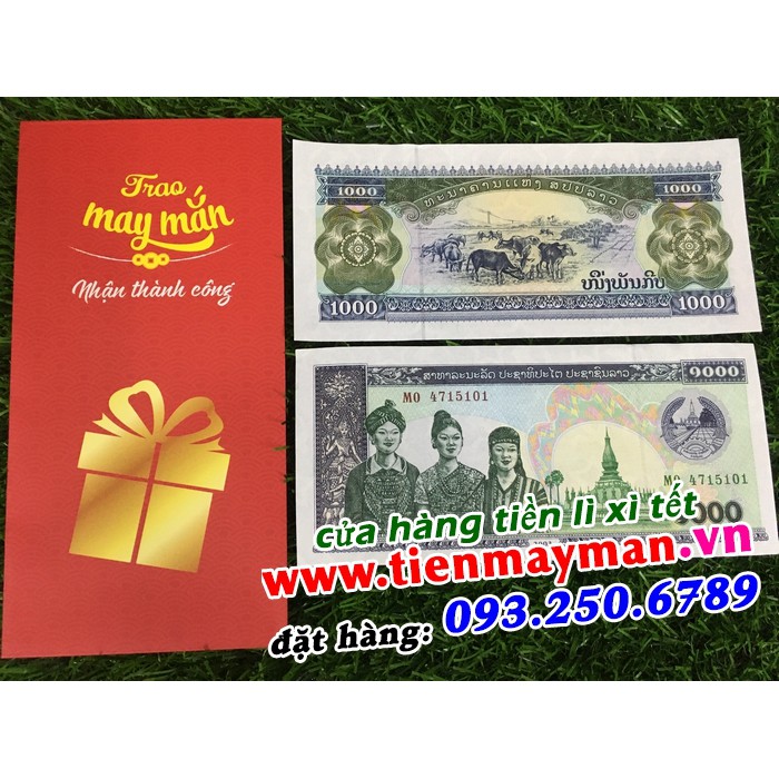 Tiền hình con trâu - 1000 Kip Lào lì xì tết, giá tốt nhất