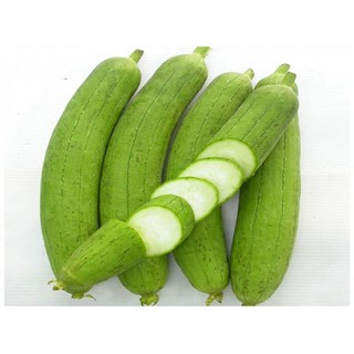 BỘ 03 GÓI HẠT GIỐNG MƯỚP HƯƠNG DÀI