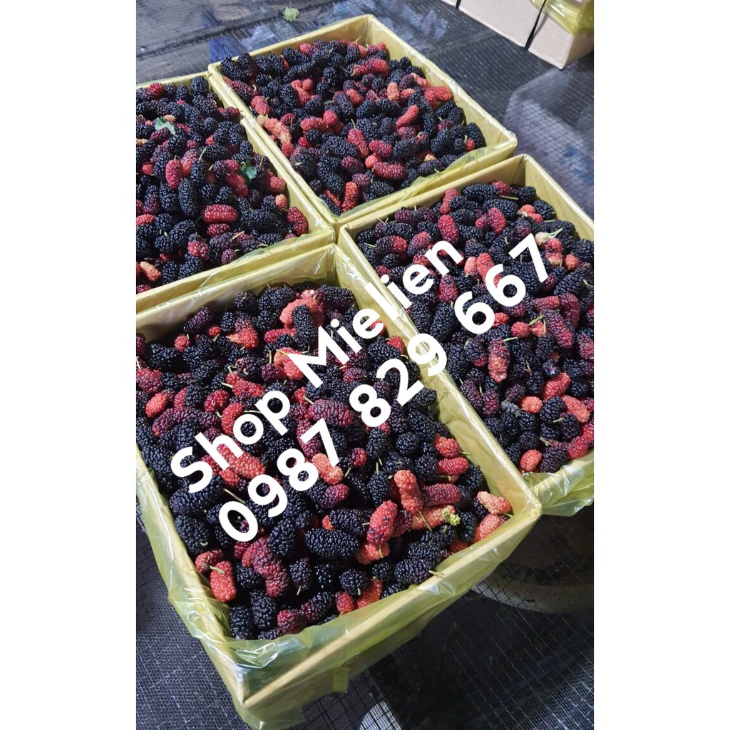 1Kg Dâu tằm sấy dẻo ngon