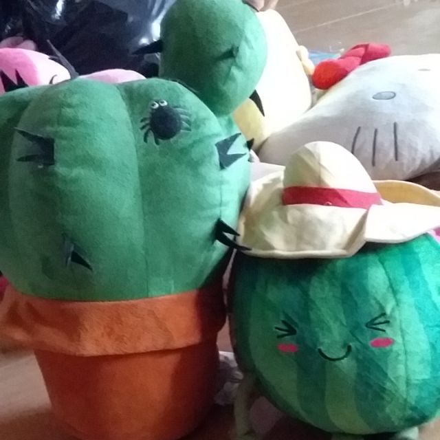 Gấu hồng thắm