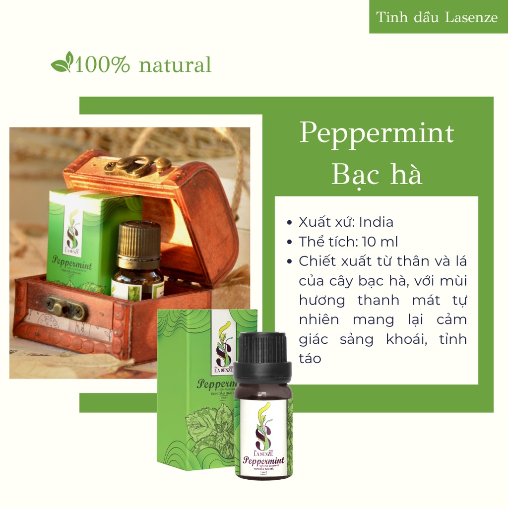 Tinh dầu Bạc Hà (Peppermint) Khử Mùi Hiệu Quả - 100% Natural (Hàng Thật Không Pha)