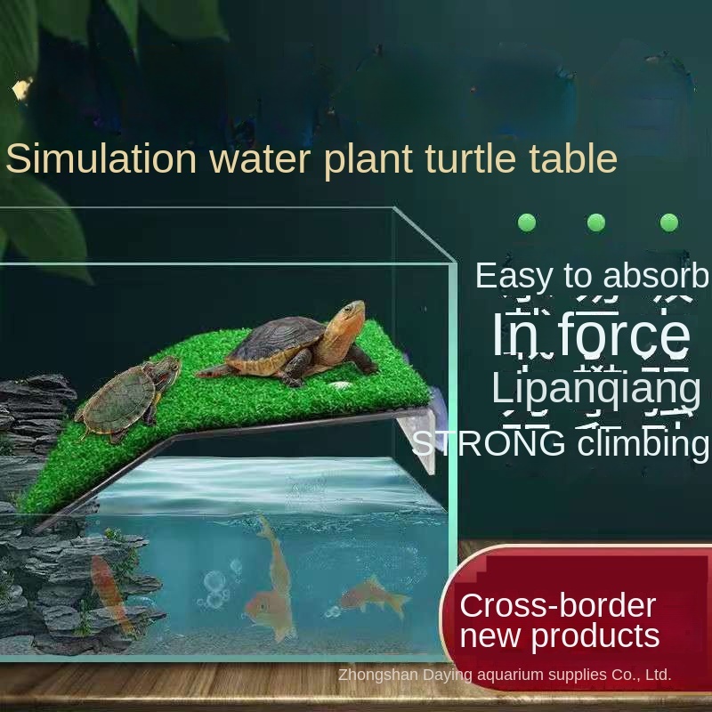 Mới Thang Khô Thoáng Cho Rùa Leo Trèo / Đế Xuồng Khô Mức Nước