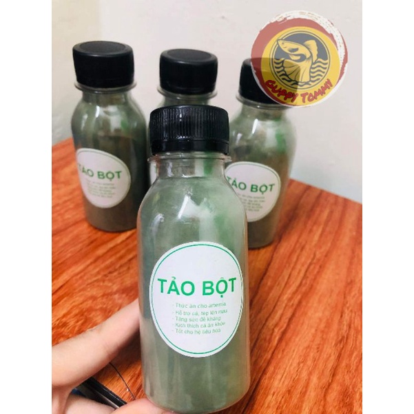 Tảo bột - thức ăn atermia sinh khối