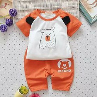 Bộ cotton gấu bắc cực