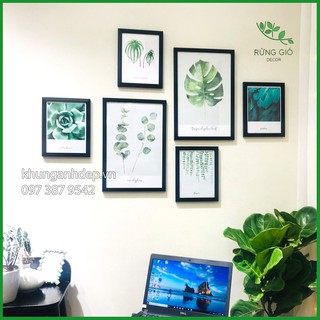 Khung ảnh treo tường kèm hình lá vintage y hình MS-090