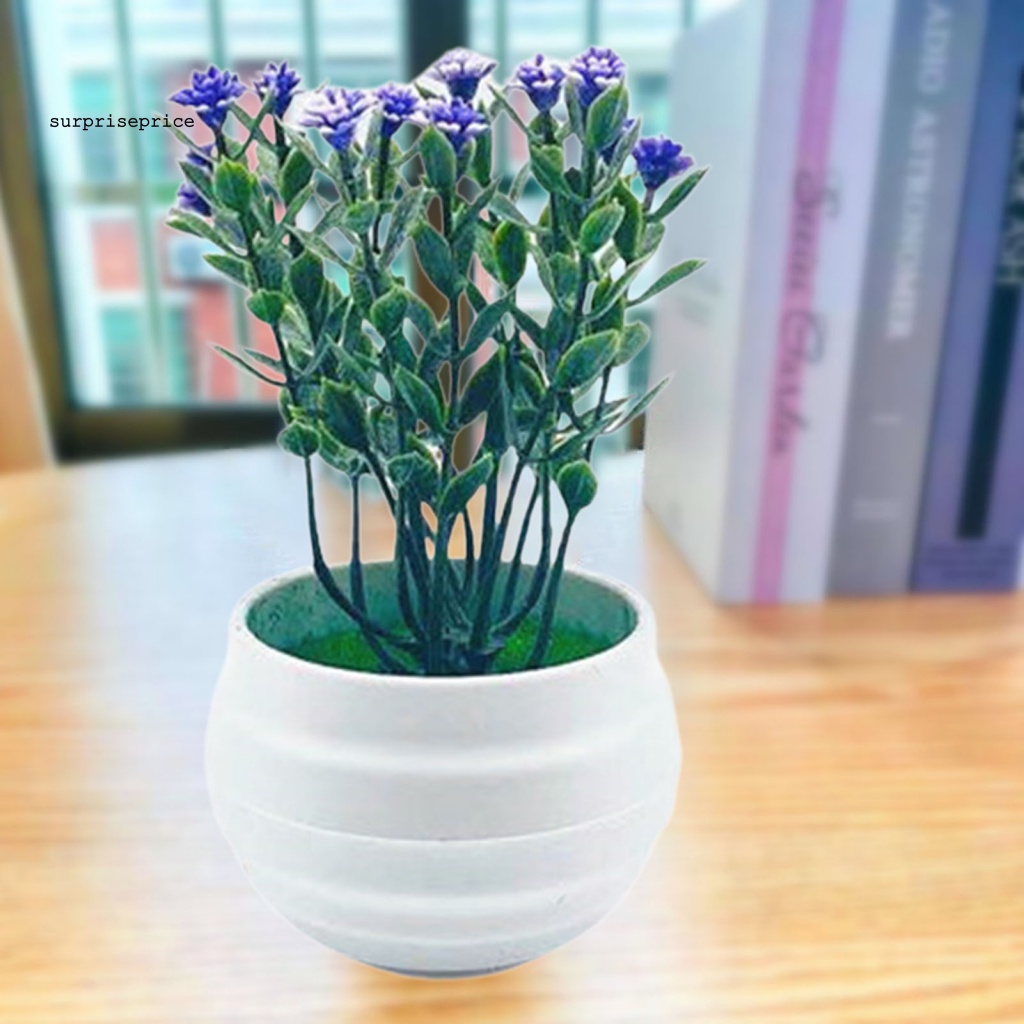 Chậu Cây Bonsai Giả Chống Rơi Dùng Trang Trí Nhà Cửa