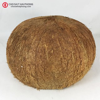 Gáo dừa thô nguyên liệu size lớn