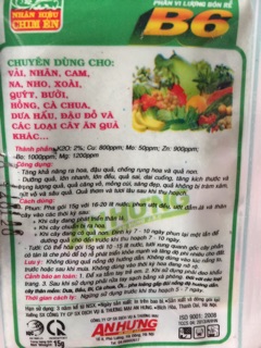 Siêu kích hoa B6
