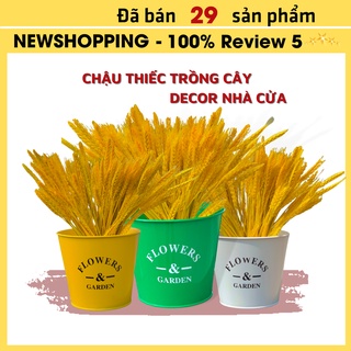 Chậu sắt trồng hoa trang trí, xô cắm hoa bằng thiếc