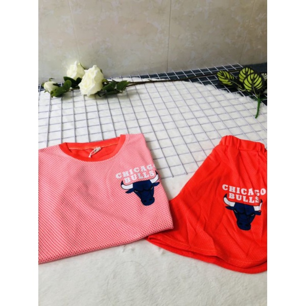 ĐỒ THUN COTTON CAO CẤP HÀNG NHẬP QC CHO BÉ TỪ  2 TUỔI ĐẾN 8 TUỔI | BigBuy360 - bigbuy360.vn