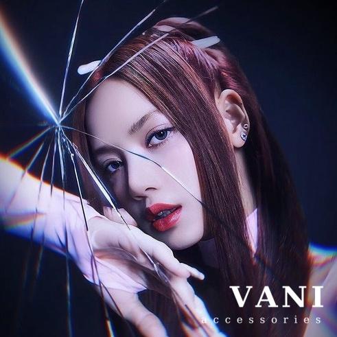 Trâm Cài Tóc Lisa Nhựa Acrylic Cheap Moment Lisa - Vani Store - PKT00275