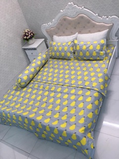 Bộ chăn ga: chăn hè, ga gối Poly 1m8x2m 