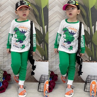 Bộ dài tay bé thun borip in hình