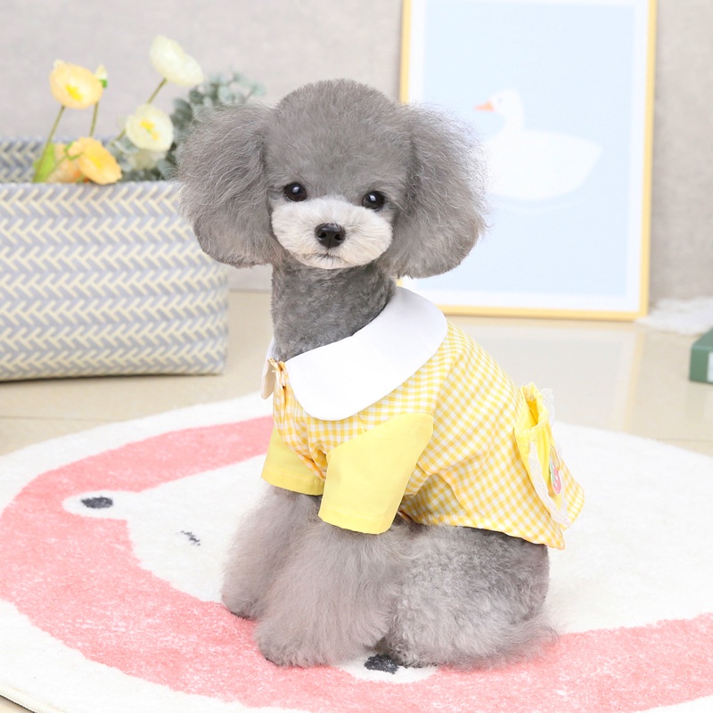 váy đầm sơ mi hình thỏ lông mi cong cho chó mèo