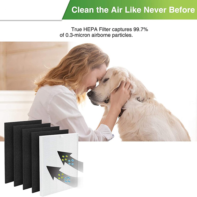 Tấm Lọc HEPA C545 Cho Máy Lọc Không Khí Winix C545 Winix 1712-0096 - 00 113050Ốp Điện Thoại Thời Trang Cho P150 / B151515