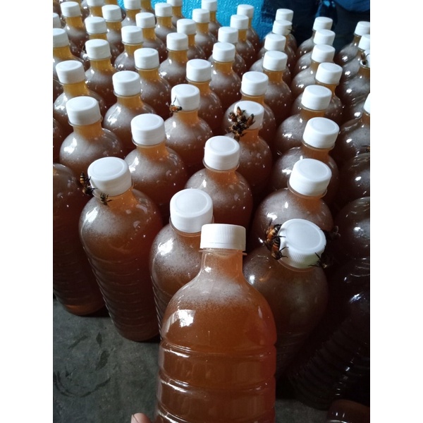 Mật ong hoa cà phê Đắk Lắk