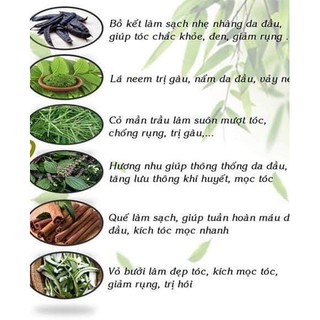 Dầu gội thảo dược