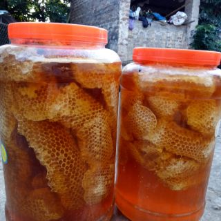 500g Mật ong rừng nguyên sáp