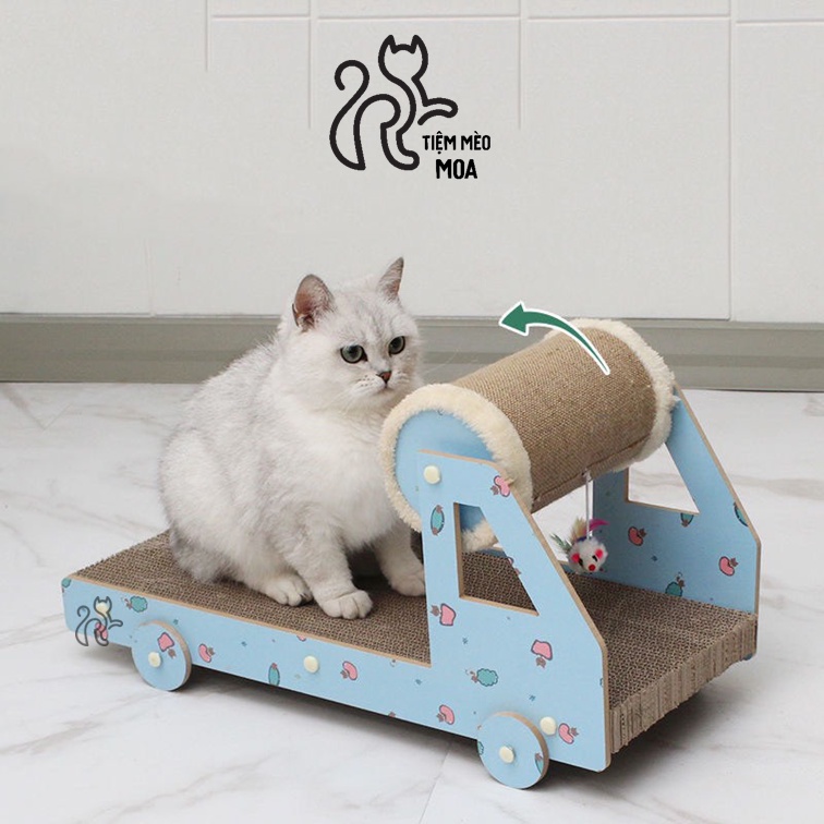 Máy chạy bộ cho mèo - Bàn cào móng - Tiệm Mèo Moa