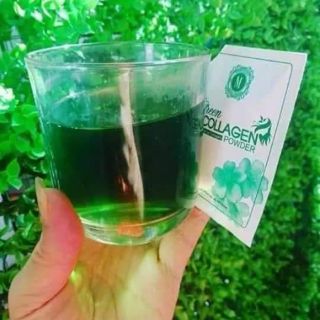 DIỆP LỤC COLLAGEN
