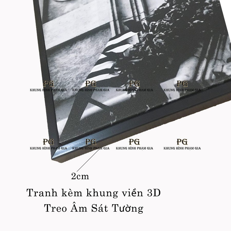 Bộ Tranh Treo Tường Hoa Sen Phong Cách Trắng Đen Nghệ Thuật Treo Phòng Ngủ, Phòng Khách - Khung Hình Phạm Gia PG1326