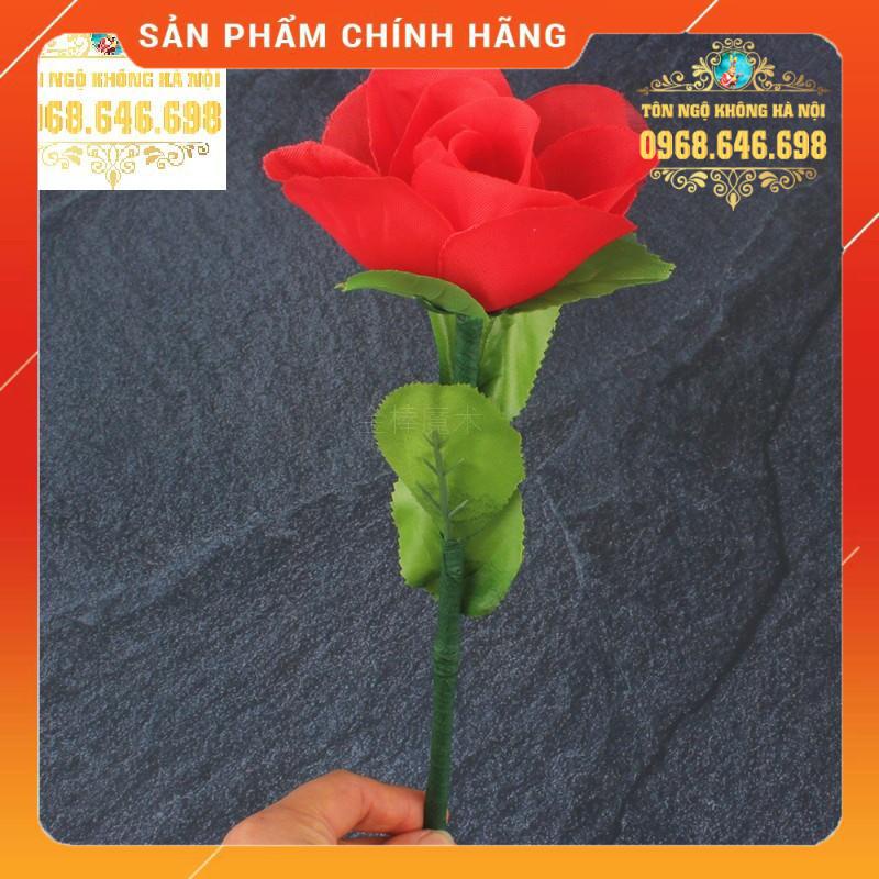 hoa hồng hồi sinh ảo thuật