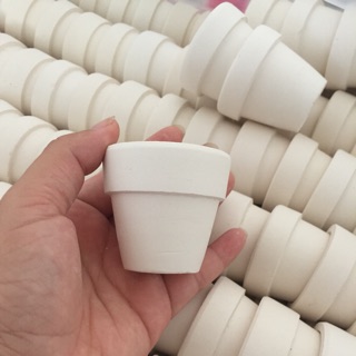 Sỉ chậu gốm trắng mini 5cm
