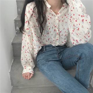Áo Sơ Mi Voan Tay Dài Thanh Lịch Dành Cho Nữ
