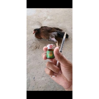 T.HUỐC TRỊ GÀ BẠI LIỆT TÉ GIÓ
