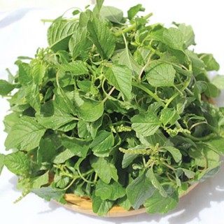 5gr - HẠT GIỐNG RAU DỀN CƠM
