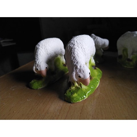 Cừu nhỏ Thạch Cao