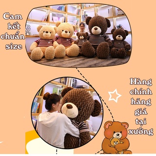 Gấu Bông Teddy