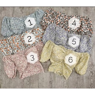 Áo trễ vai hoa nhí, áo voan tay phồng croptop