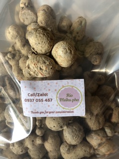 100gr Củ tam thất nam