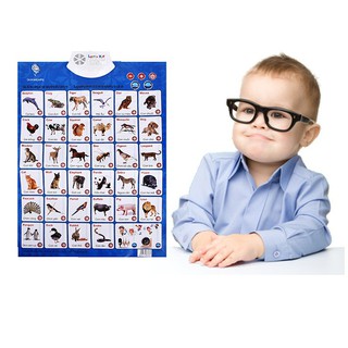 Bảng điện tử thông minh Antona