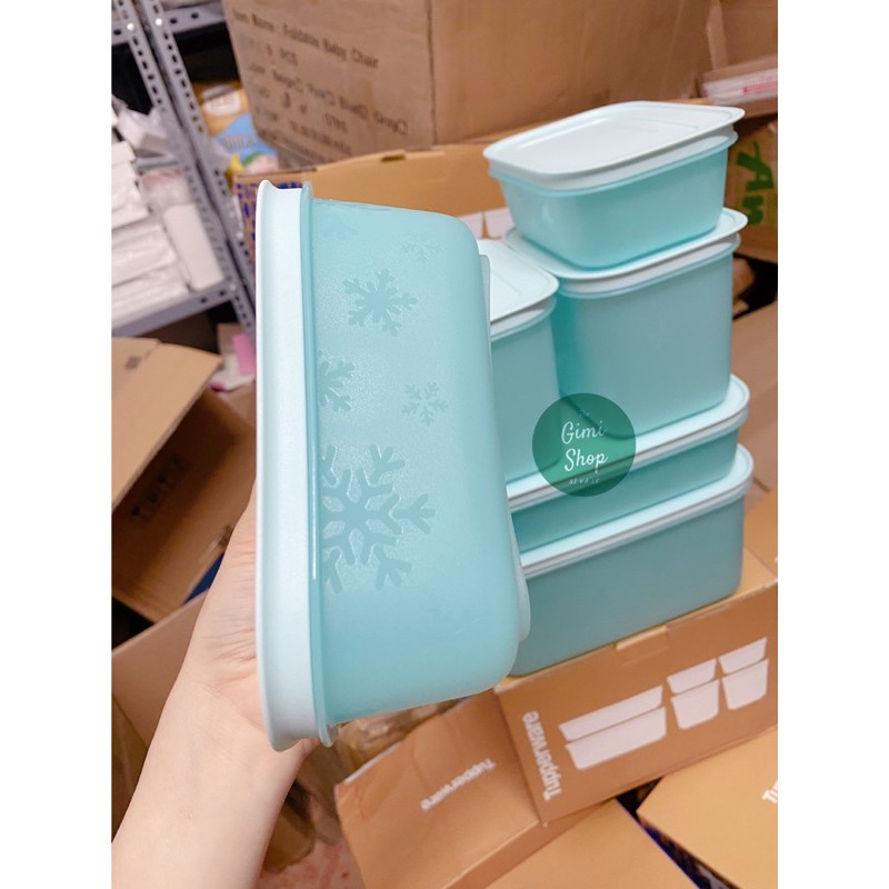 Hàng Có Sẵn Bộ 6 Hộp Trữ Đông Freezermate Tupperware Thế Hệ II Nhựa Nguyên Sinh An Toàn Tuyệt Đối