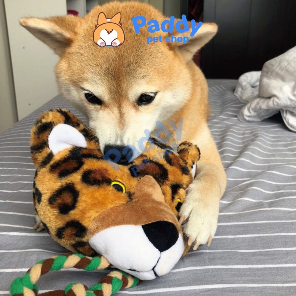 Đồ Chơi Cho Chó Thú Bông Gặm Thừng DoggyMan Size Siêu To