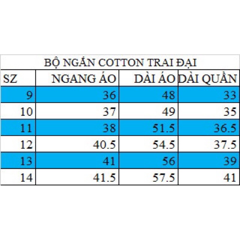 Bộ ngắn bé trai size đại thun cotton in hình cá tính