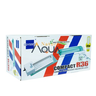 Đèn kẹp Odyssea compact R36/R55