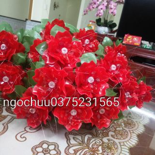 Combo nguyên liệu 20hoa hồng