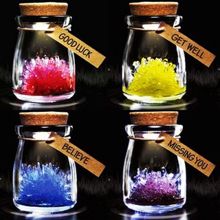 Bình ước nguyện hoa thủy tinh có đèn Led (màu ngẫu nhiên) - winz.vn