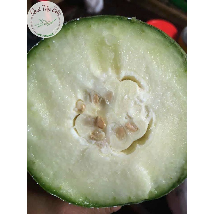 Bí phấn thơm Bắc Kạn quả 2kg