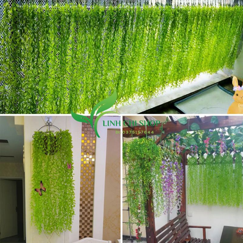 Hoa giả trang trí_Rủ lá cúc tần 102cm decor nhà cửa, ban công, sự kiện