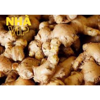 Gừng già đắk lắk