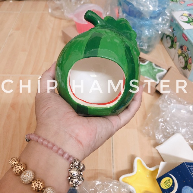 Nhà sứ dưa hấu (Hamster)